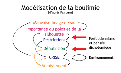 Exemple de l'impact de la dysmorphie dans la boulimie par un schéma
